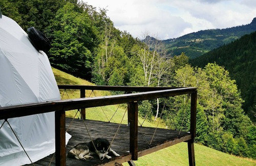 Bucium RV Rental | Luxury Glamping Dome in Apuseni Mountains
