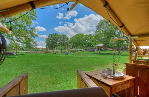 Navasota RV Rental | Luxury Glamping on a Honey Farm!