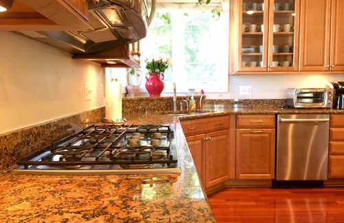 Annandale House | Luxury huge Victorian Villa 7000 sq ft. 15 min to DC. Sleeps 27 guests.