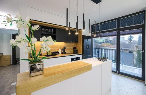 Tirgu Mures Apartment | Luxury Landing 11 - centrally located accomodation with private parking Targu Mures