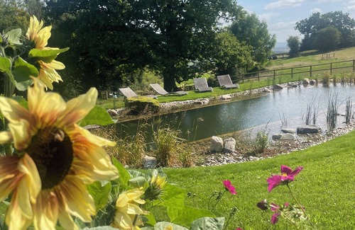 Abergavenny House | Luxury Mountain Holiday Property & Wellness Retreat with Sauna, Pool & Hot Tub.