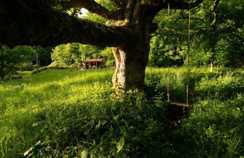 Clachan of Campsie House | Luxury Off-Grid Cabin with Outdoor Bath in Scotland