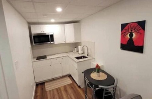Fort Gary Apartment | Luxury One Bedroom In A Modern Basement.