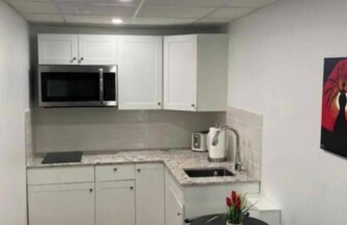 Fort Gary Apartment | Luxury One Bedroom In A Modern Basement.