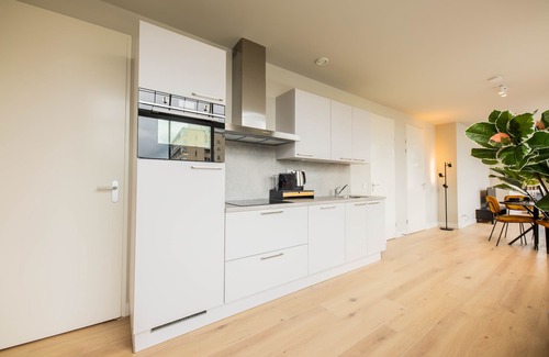 Centrum Villa | Luxury Serenity 3BDR Apartment WS