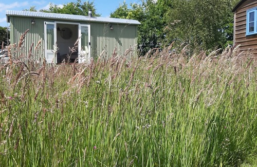 Hickling Cabin | Luxury shepards hut Norfolk! Brand new for 2022, set on 3 acres of land❣