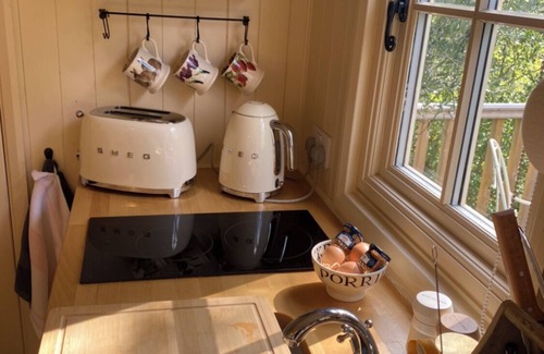 Broadwas Cabin | Luxury Shepherd Hut - The Nimrod