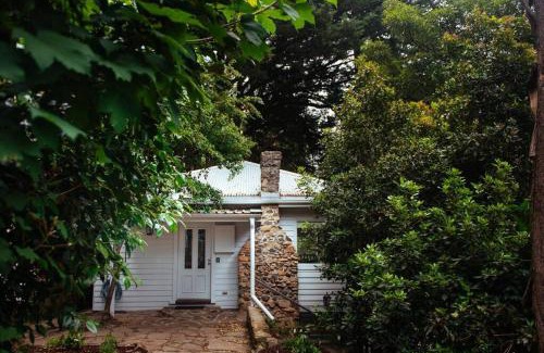 Kalorama House | Luxury Treetop Escape with a Garden glasshouse
