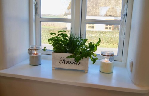 Rabenholz House | Luxus-ökohäuschen mit Eingezäuntem Garten, Gutshofsauna!