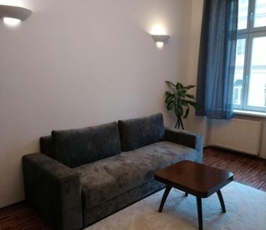 Karlovy Vary Apartment | Luxusní byt v centru - Free Parking