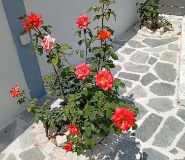 Parga Apartment | LV apartment-in the heart of Parga