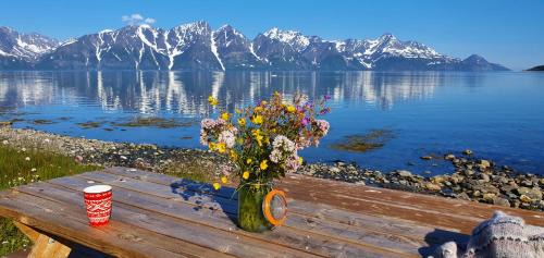 Lyngen House | Lyngen Arctic View