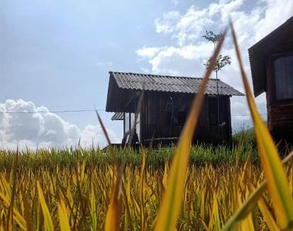 Sa Pa Cabin | Mẩy Lơ Homestay