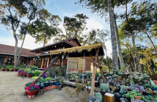 Kon Plong Hotel | Mộc Thiên Xanh homestay