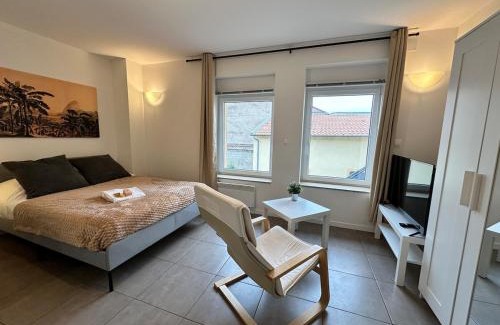 Woippy Apartment | M 104 studio Palm Nest cosy et calme proche Metz