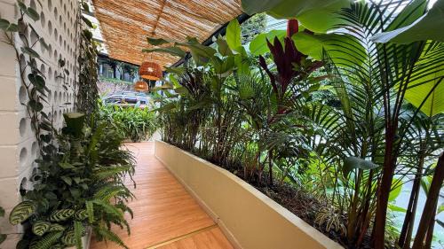 Patio Bonito Apartment | M de oro Apartamentos Muuk boutique POBLADO