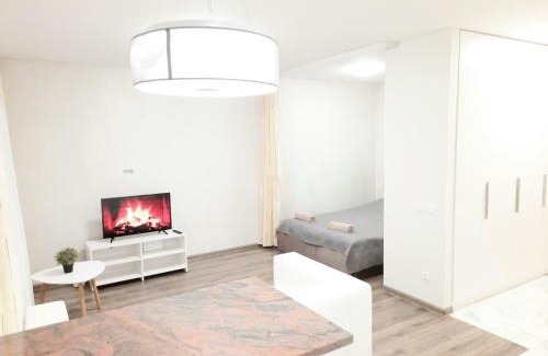 Panevezys Apartment | M&M Apartment I SELF CHECK-IN