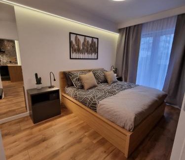 Czestochowa Apartment | Mała Poleska - przytulny apartament z ogródkiem