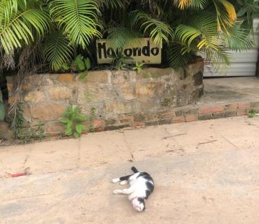 Koh Rong Sanloem House | Macondo Mpai bay