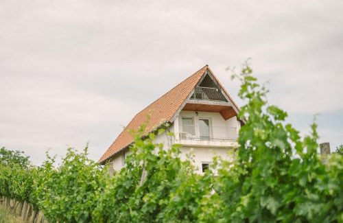 Kissomlyo House | MacskaFészek Vendégház