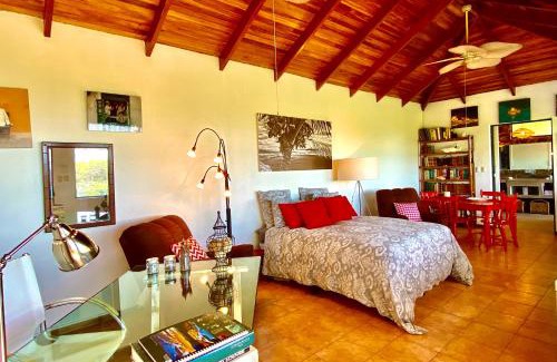 Garabito Apartment | Magic Mountain Views Studio