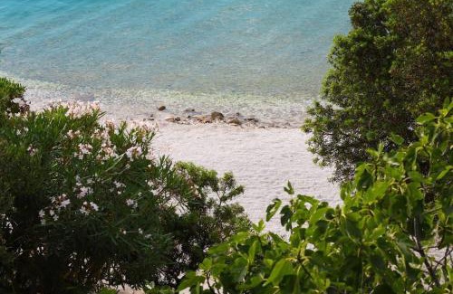 Seget Vranjica Apartment | Magical Sea Fairytale