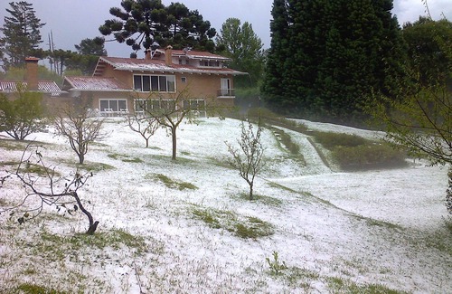 Campos do Jordao House | MAGNIFICENT HOUSE SURROUNDED BY NATIVE FOREST, FOR WHOM YOU WANT QUIET