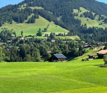 Zweisimmen Nr Gstaad Apartment | Magnifique Chalet Gstaadt