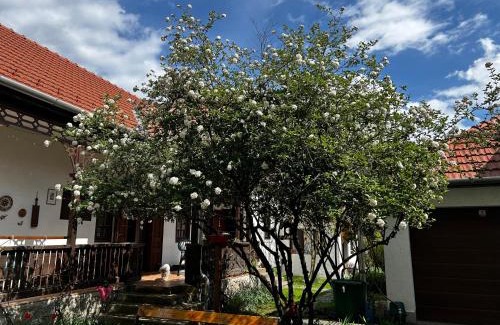 Diosgyor Apartment | Magnolia Garden
