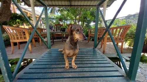 Gomagoda House | Mahaweli Shades