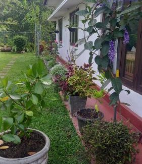 Gomagoda House | Mahaweli Shades