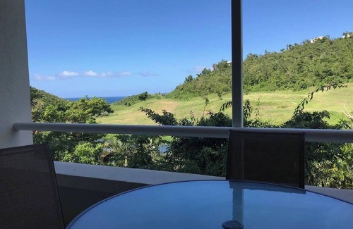 Rosendal Condo | Mahogany Run Retreat: A Tranquil Caribbean Escape