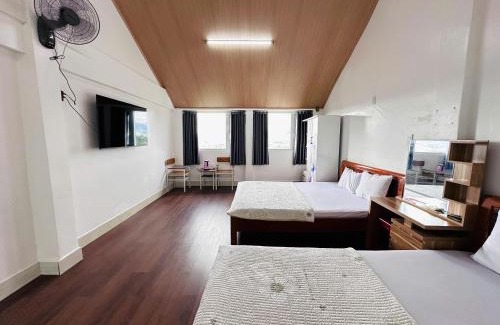 Lam Ha Hotel | Mai Vàng