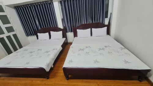 Lam Ha Hotel | Mai Vàng