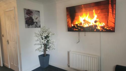 Maidstone Villa | Maidstone Lodge