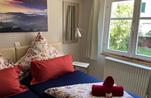 Meersburg Apartment | Mainaublick - TraumSeesicht mit Terrasse