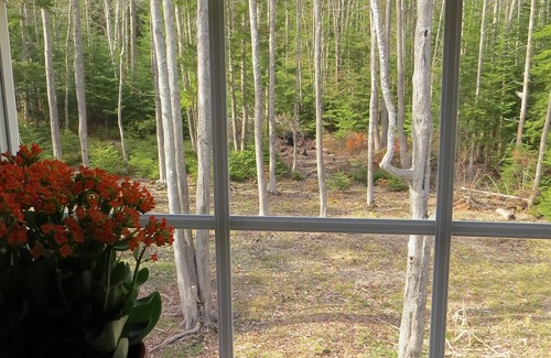 Sebascodegan Island Apartment | ~Maine Glamping at its Finest~