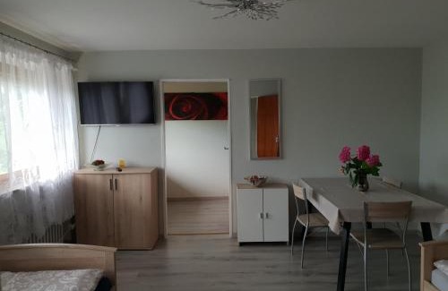 Wertheim Apartment | Mainzimmer Business Appartment - Monteurwohnung mit Burgblick