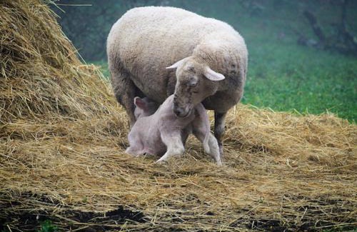 Saint Maurin House | Maison à la campagne