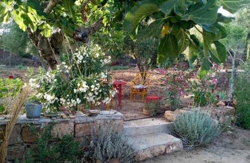 Bni Garfett House | Maison au Jbel
