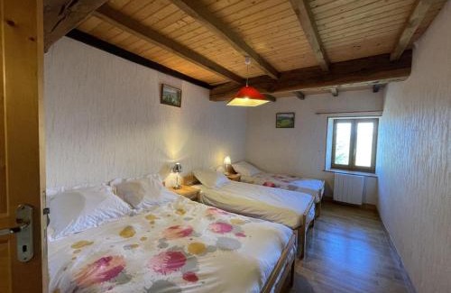 Laprugne House | Maison Authentique avec Jardin et Cheminée, Animaux Acceptés, Parking, Internet - FR-1-489-184