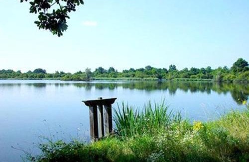 Chateauroux House | Maison avec jardin, proche centre-ville et sites touristiques - FR-1-591-59