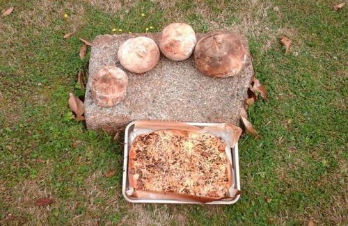 Passais-Villages House | Maison de charme en campagne avec jardin clos et WiFi - FR-1-497-238