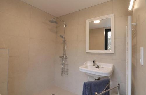 L'Aigle Apartment | Maison de charme : piscine, sauna, salle de jeux, studio en option, idéal pour détente et sport - FR-1-497-140