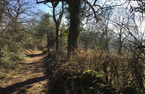 Suin House | Maison de famille Jo et Juliette