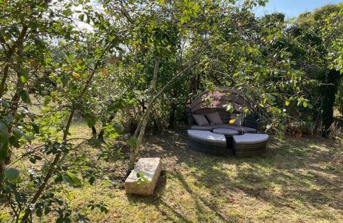 Robins Bay Bed & Breakfast | Maison Dulcis