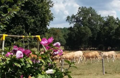 Bonnoeuvre House | Maison familiale avec piscine, grand jardin clos et équipements de loisirs - FR-1-306-898