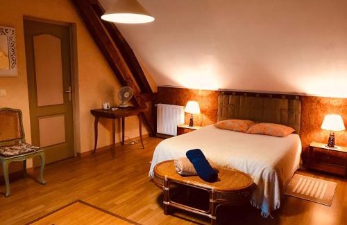 Villentrois House | Maison familiale jardin wifi 17km Beauval