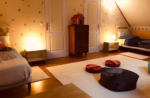Villentrois House | Maison familiale jardin wifi 17km Beauval