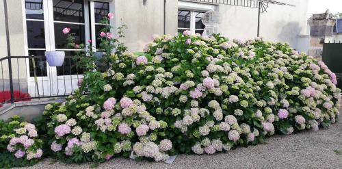 Tournon-Saint-Martin House | maison grand parking privé